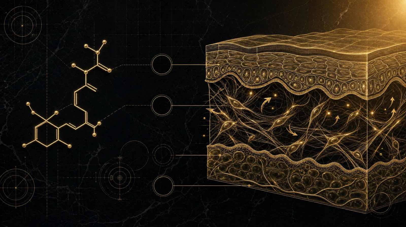 How it works — illustrated blueprint