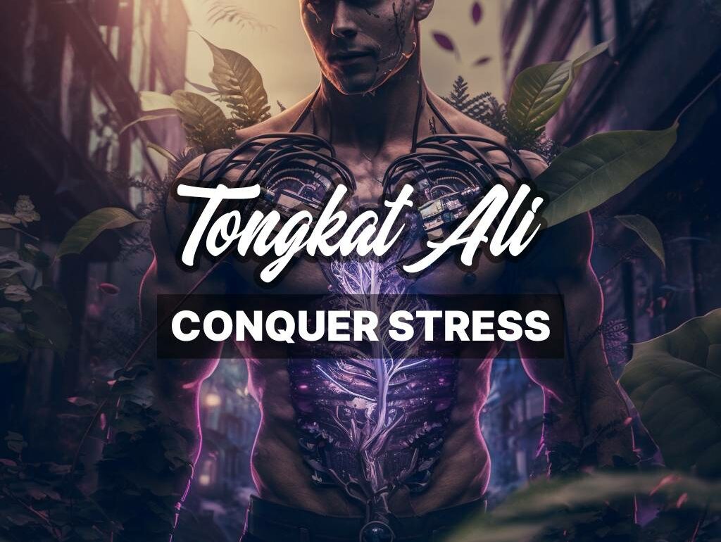 Conquer Stress with Tongkat Ali: Your Natural Solution