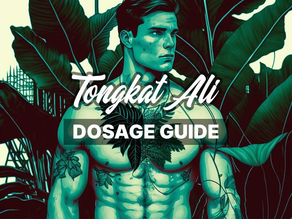 How to Take Tongkat Ali: Dosage and Cycling Guide