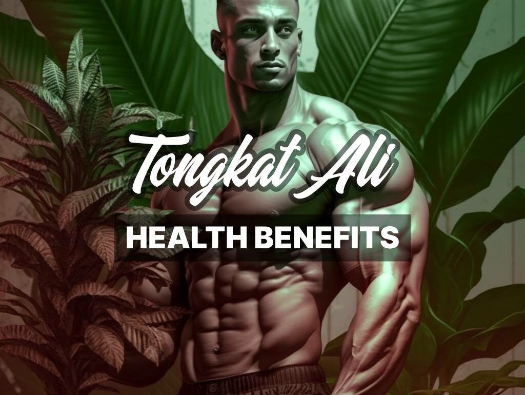 Surprising Benefits of Tongkat Ali for Your Health