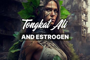 Tongkat Ali and Estrogen: Understanding the Connection