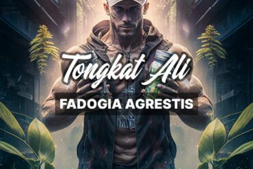 Tongkat Ali and Fadogia Agrestis: A Powerful Duo for Health and Vitality