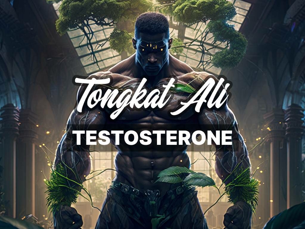 Tongkat Ali: The Ultimate Testosterone Booster