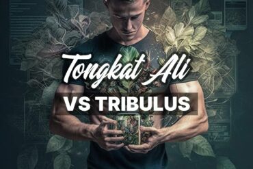 Tongkat Ali vs Tribulus Terrestris: A Comprehensive Comparison