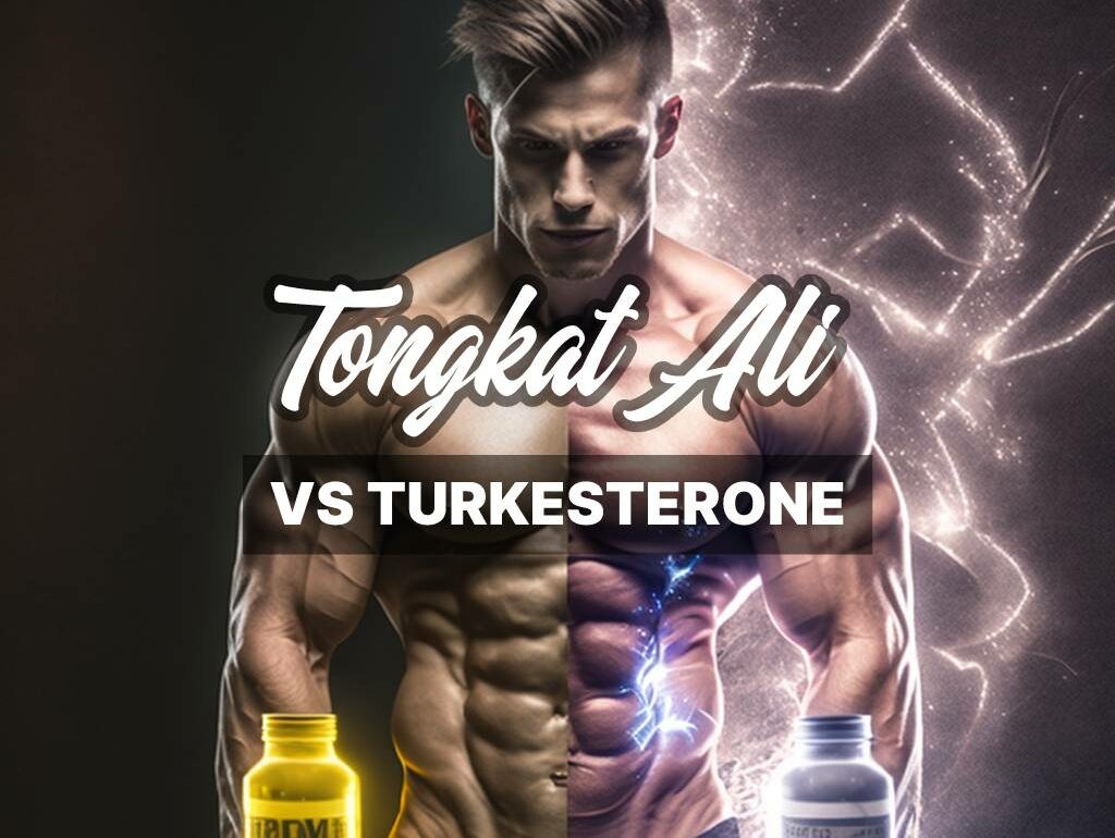Tongkat Ali vs Turkesterone: A Comprehensive Comparison for the Super Achiever