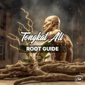 The Comprehensive Guide to Tongkat Ali Root: A Deep Dive into its Origins, Uses, Benefits, and More