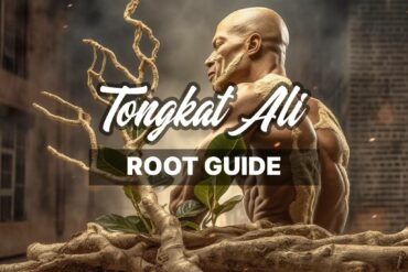 The Comprehensive Guide to Tongkat Ali Root: A Deep Dive into its Origins, Uses, Benefits, and More