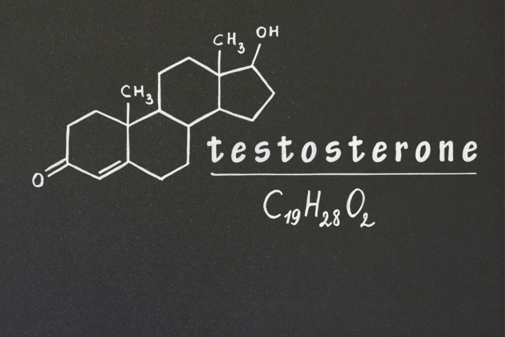 Testosterone Formular