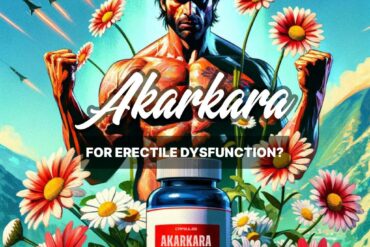 Akarkara Anacyclus Pyrethrum for Erectile Dysfunction A Comprehensive Guide